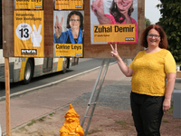 Verkiezingen 2014