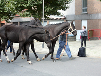 Jaarmarkt en Wijkbezoek