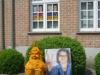 Verkiezingen 2014