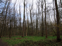 Paaswandeling 2022