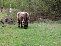 Paaswandeling 2022